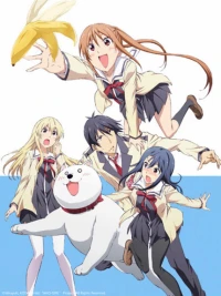 Cô Nàng Ngốc - Aho Girl - Aho Girl (2017)