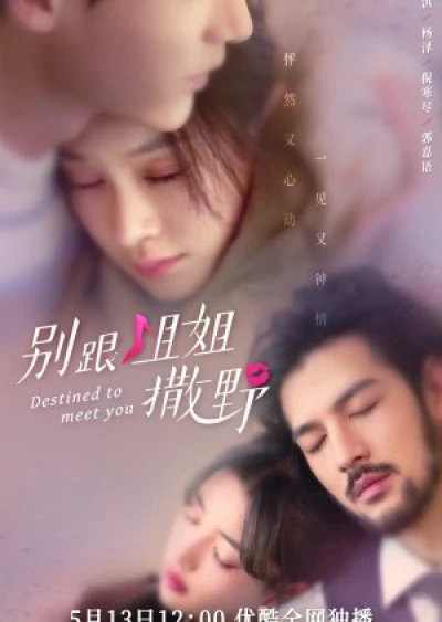 Đừng Nhờn Với Chị (Destined to Meet You) [2022]